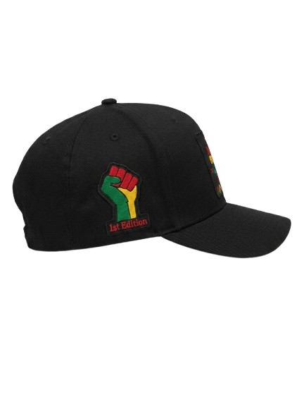 JuneTeenth "Not Built Like Us" Hat