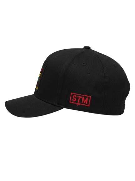 JuneTeenth "Not Built Like Us" Hat